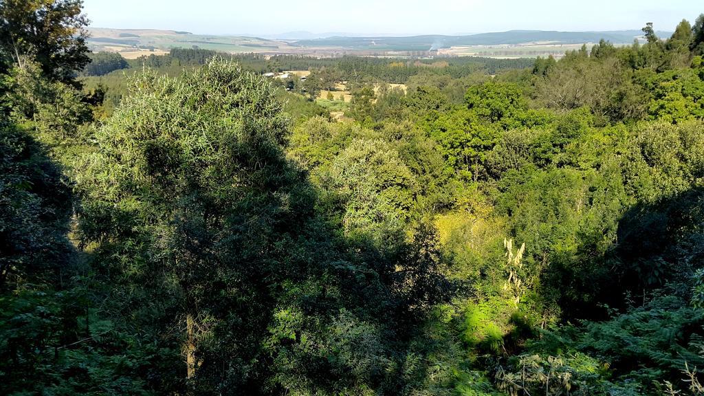 Evergreen Cabin Karkloof Yarrow Esterno foto