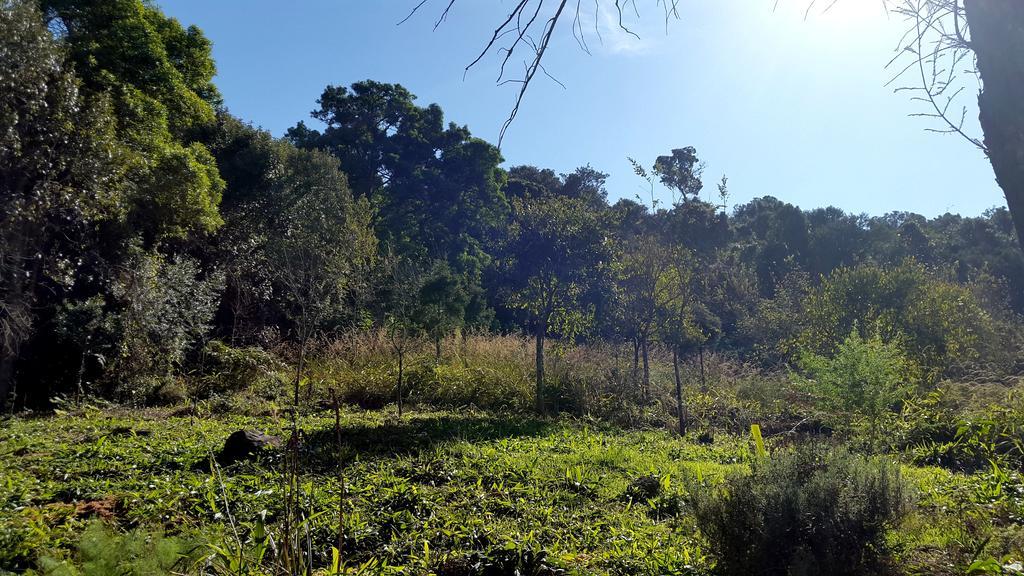 Evergreen Cabin Karkloof Yarrow Esterno foto