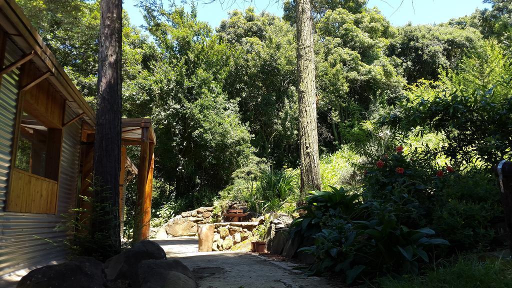 Evergreen Cabin Karkloof Yarrow Esterno foto